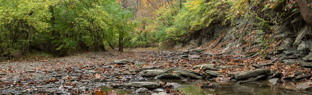 Keehner-Creek-banner